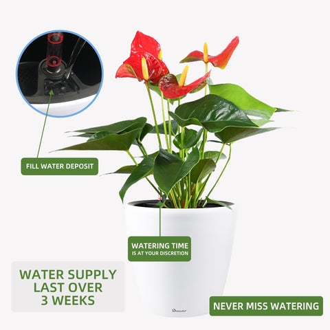 Dexceder matte, UV-resistant planter suitable for outdoor placement