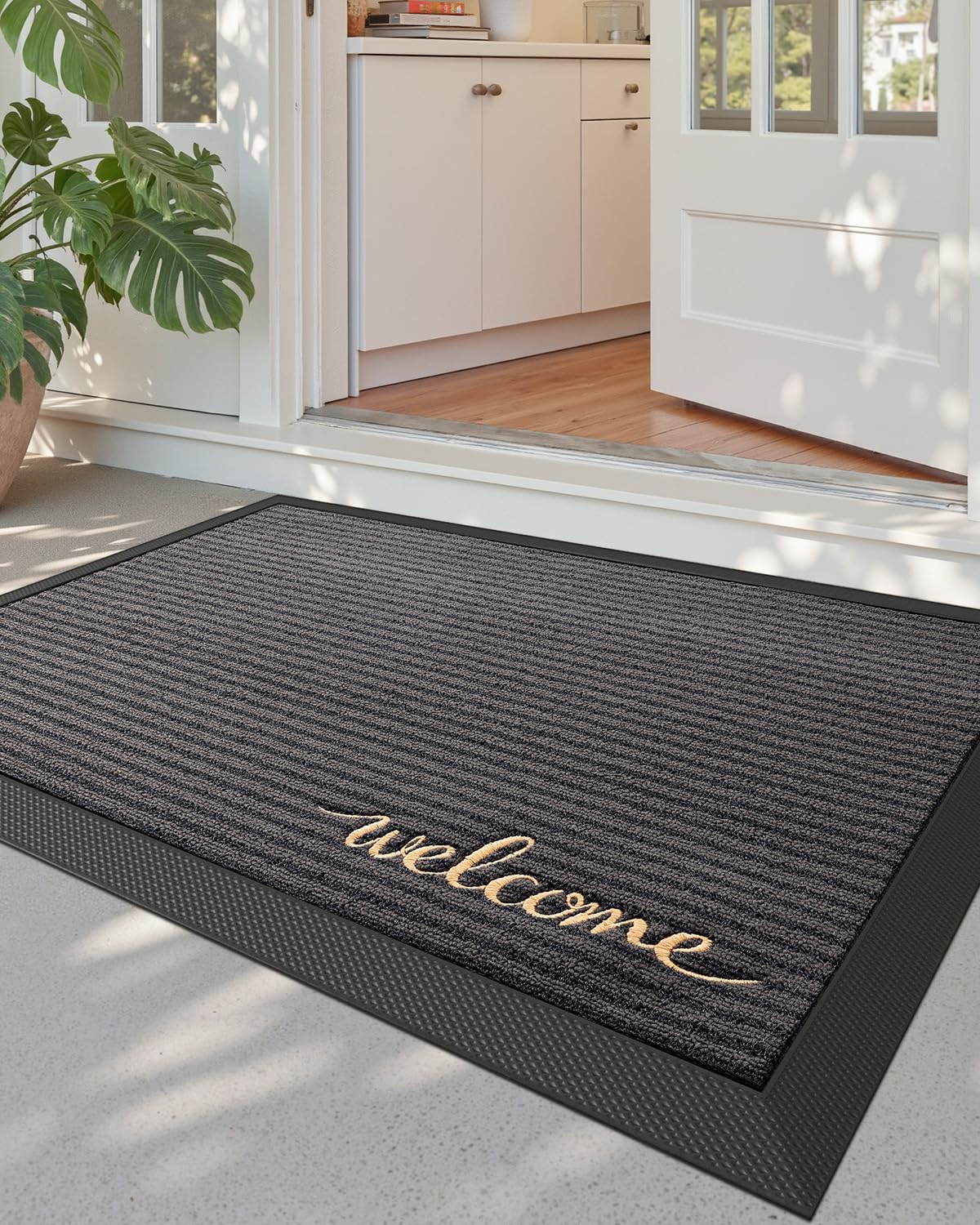 DEXI front door mat outside entrance 31x47 weather-ready protection for entryways