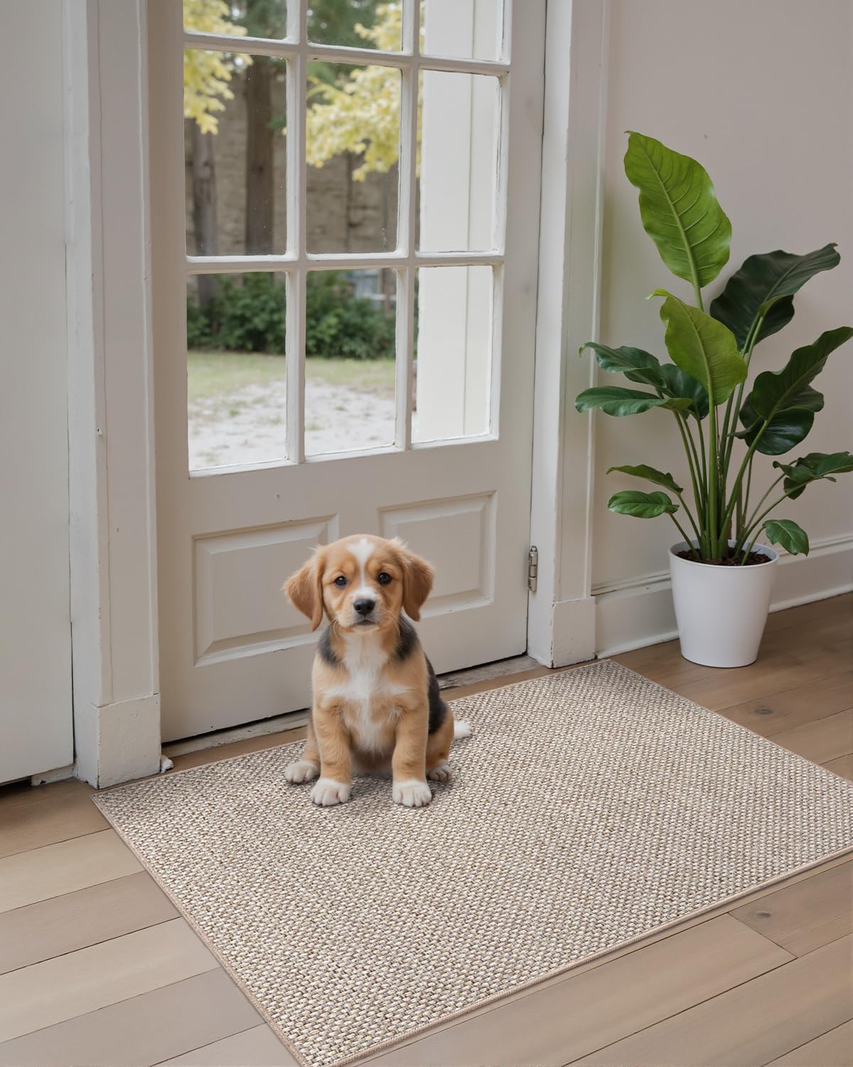DEXI ultra-thin mat unrolled smoothly for a crease-free entrance area.