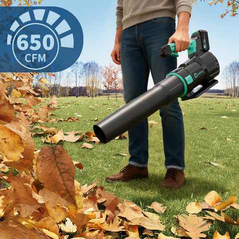 DEXSO blower reaches 200 MPH for fast clearing of paths.