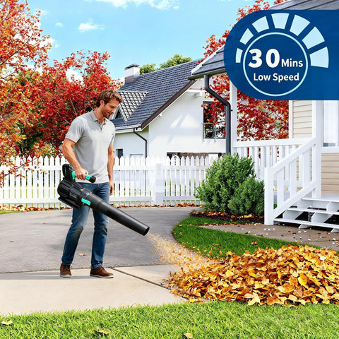 DEXSO cordless blower at 650 CFM tackles stubborn debris with ease.