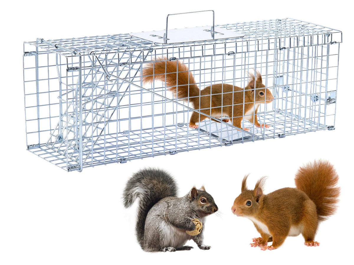 Dexyla 24-inch humane trap with front door enables quick, nonlethal capture of small wildlife.