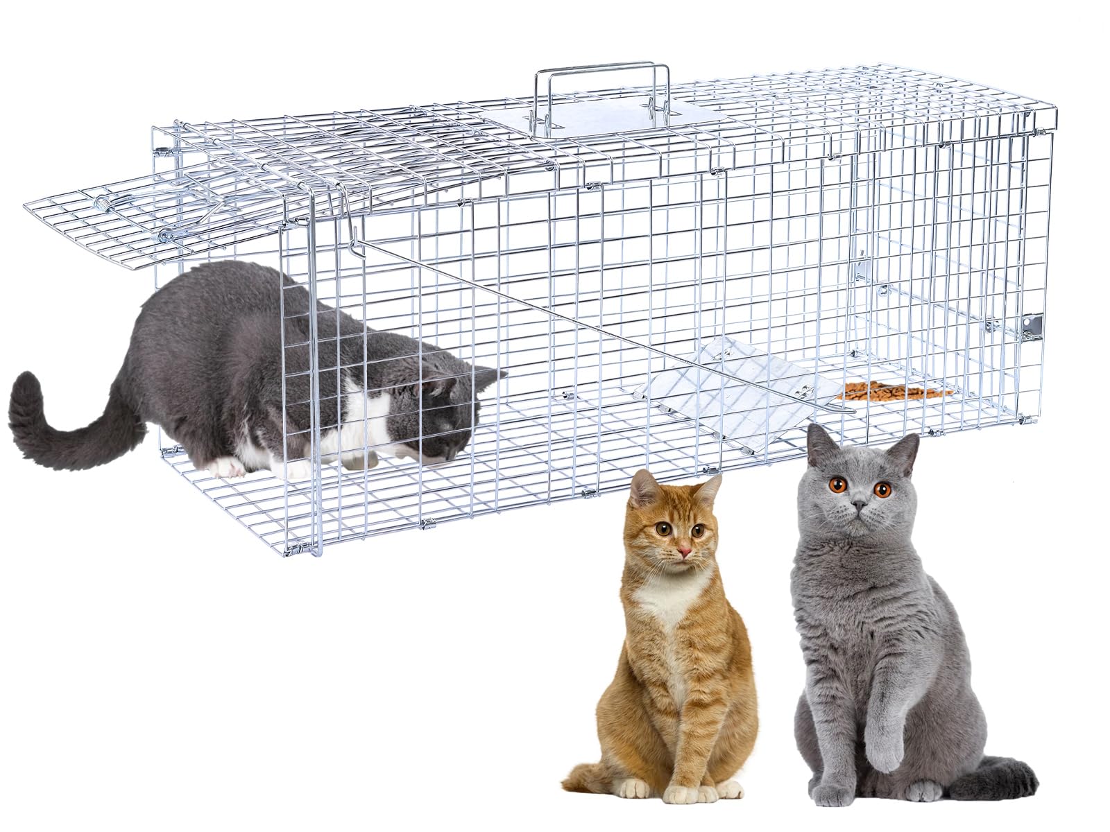 Dexyla 32-inch live-trap front view demonstrates humane capture for stray wildlife.