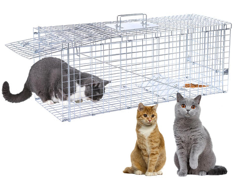 Dexyla 32-inch live-trap front view demonstrates humane capture for stray wildlife.