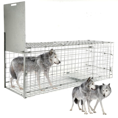 Dexyla 57-inch collapsible trap front view showing spacious interior for humane capture