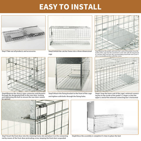 Dexyla trap in use with clear setup for humane wildlife capture