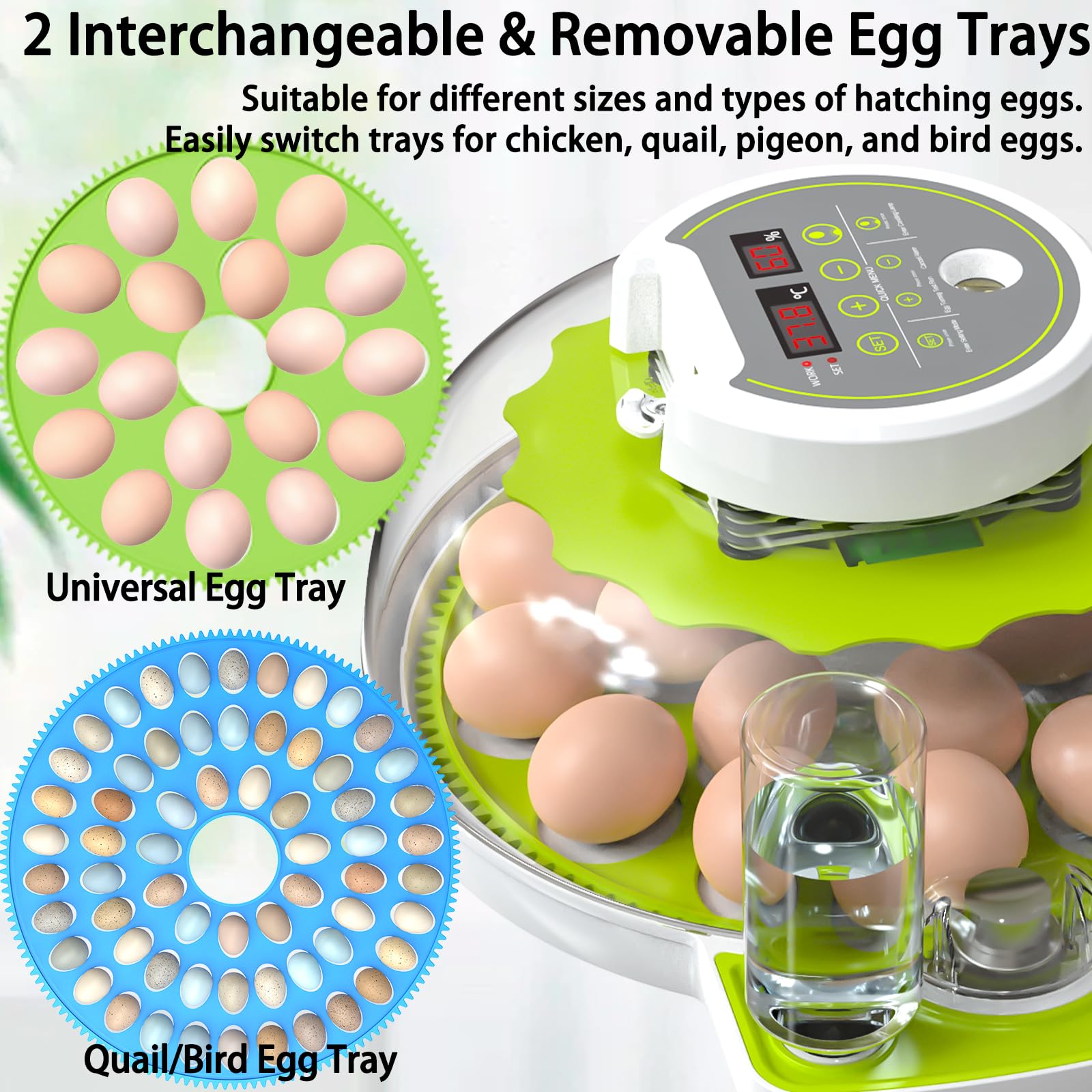 DEZHXHE 360-degree clear lid provides full visibility of the incubation process.