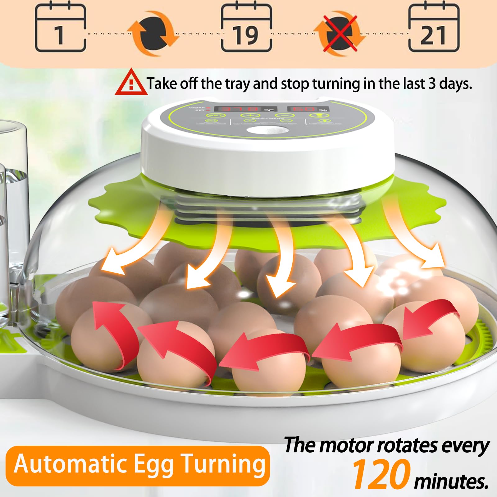 DEZHXHE automatic egg turning system maintains even heat distribution during incubation.