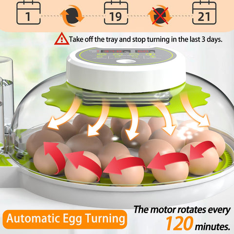 DEZHXHE automatic egg turning system maintains even heat distribution during incubation.