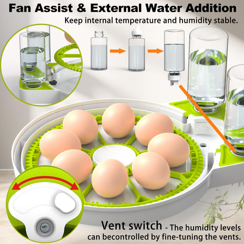 DEZHXHE egg incubator egg-candler shows LED visibility of embryo development.