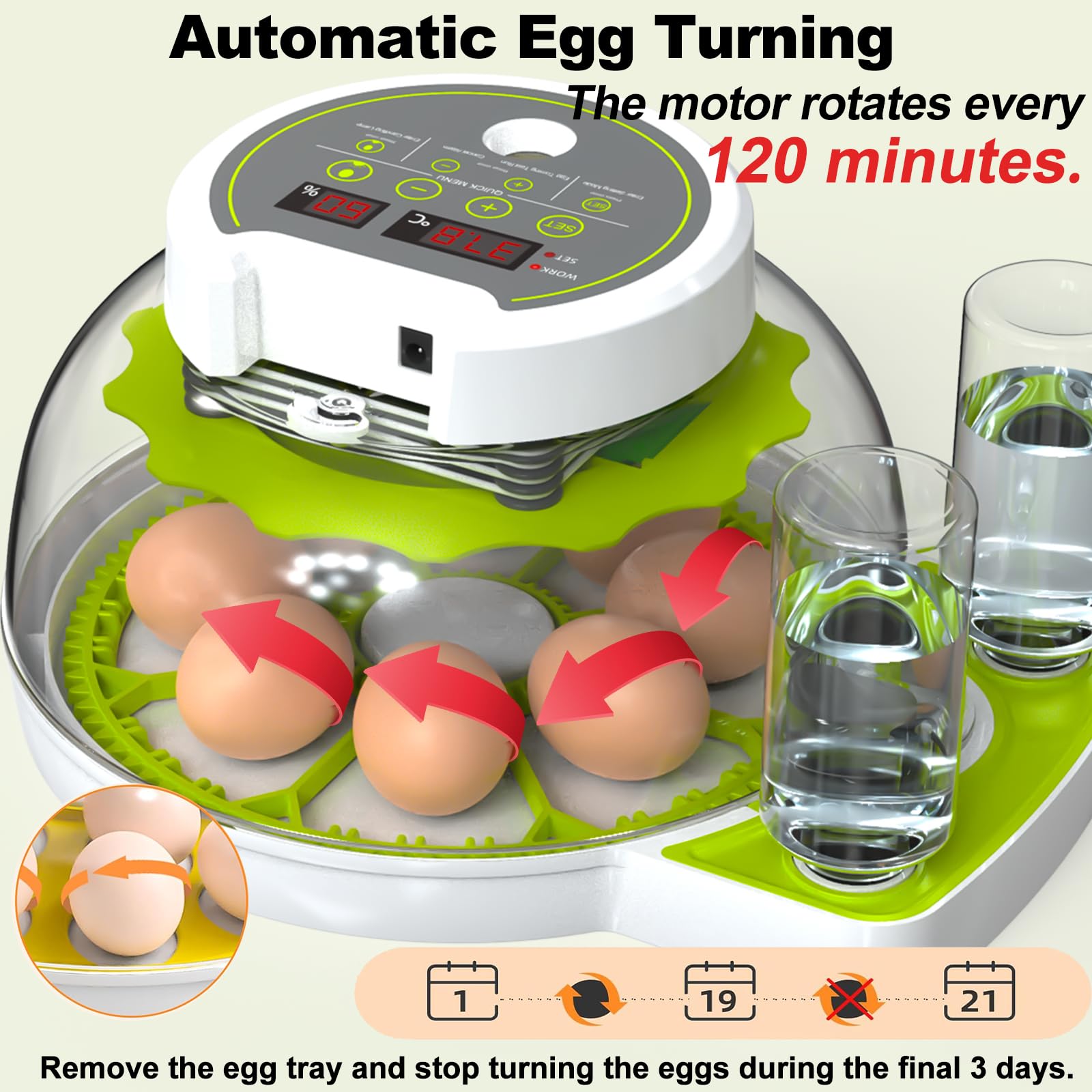 DEZHXHE egg incubator humidity-display provides precise humidity readouts for stable incubation.