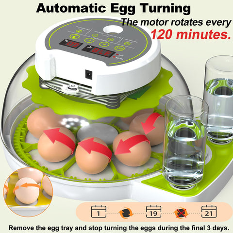 DEZHXHE egg incubator humidity-display provides precise humidity readouts for stable incubation.