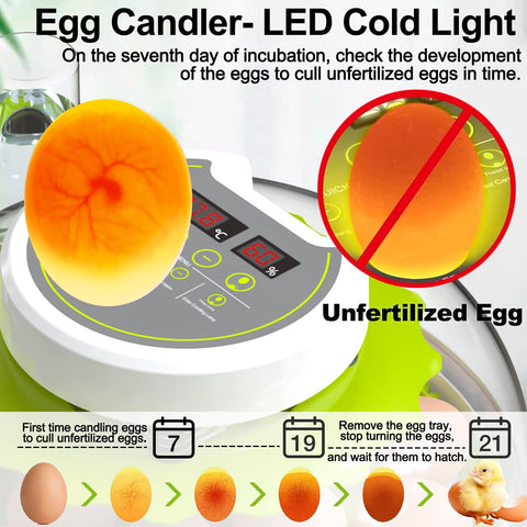 DEZHXHE egg incubator tray-change close-up, swap trays to fit various egg sizes.