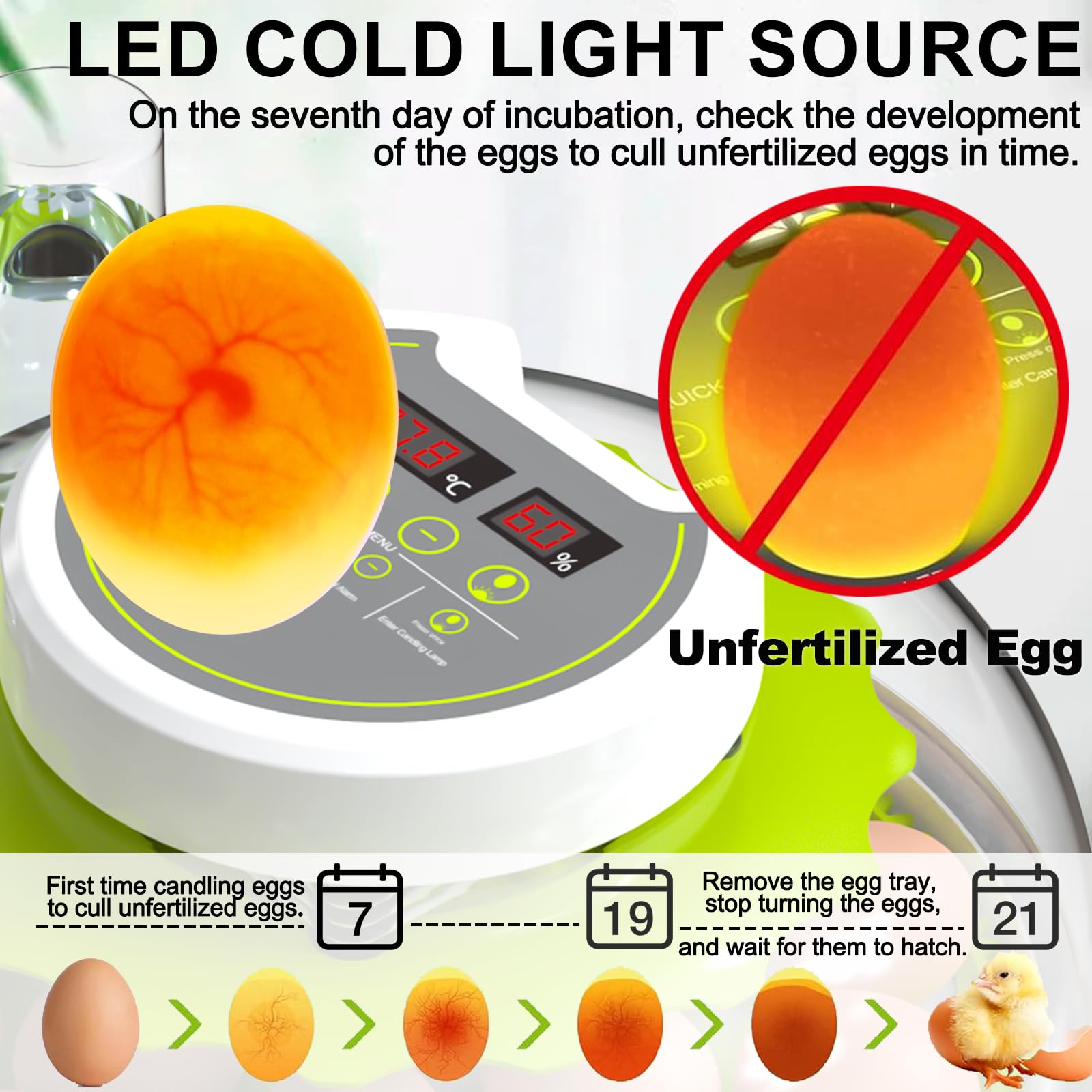 DEZHXHE dual-tray configuration supports different egg sizes for chicken, quail, and birds.