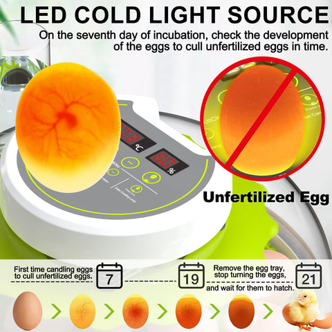 DEZHXHE dual-tray configuration supports different egg sizes for chicken, quail, and birds.