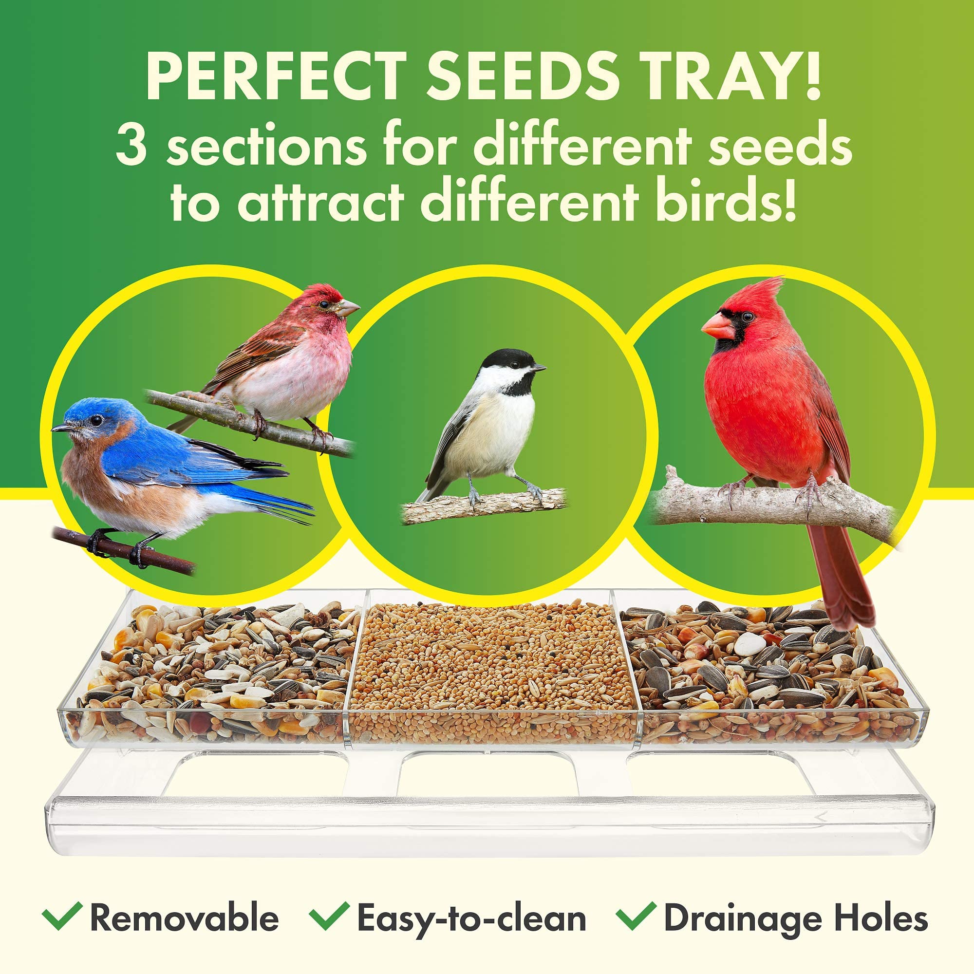 DF OMER three-seed tray designed to attract various bird species at once.