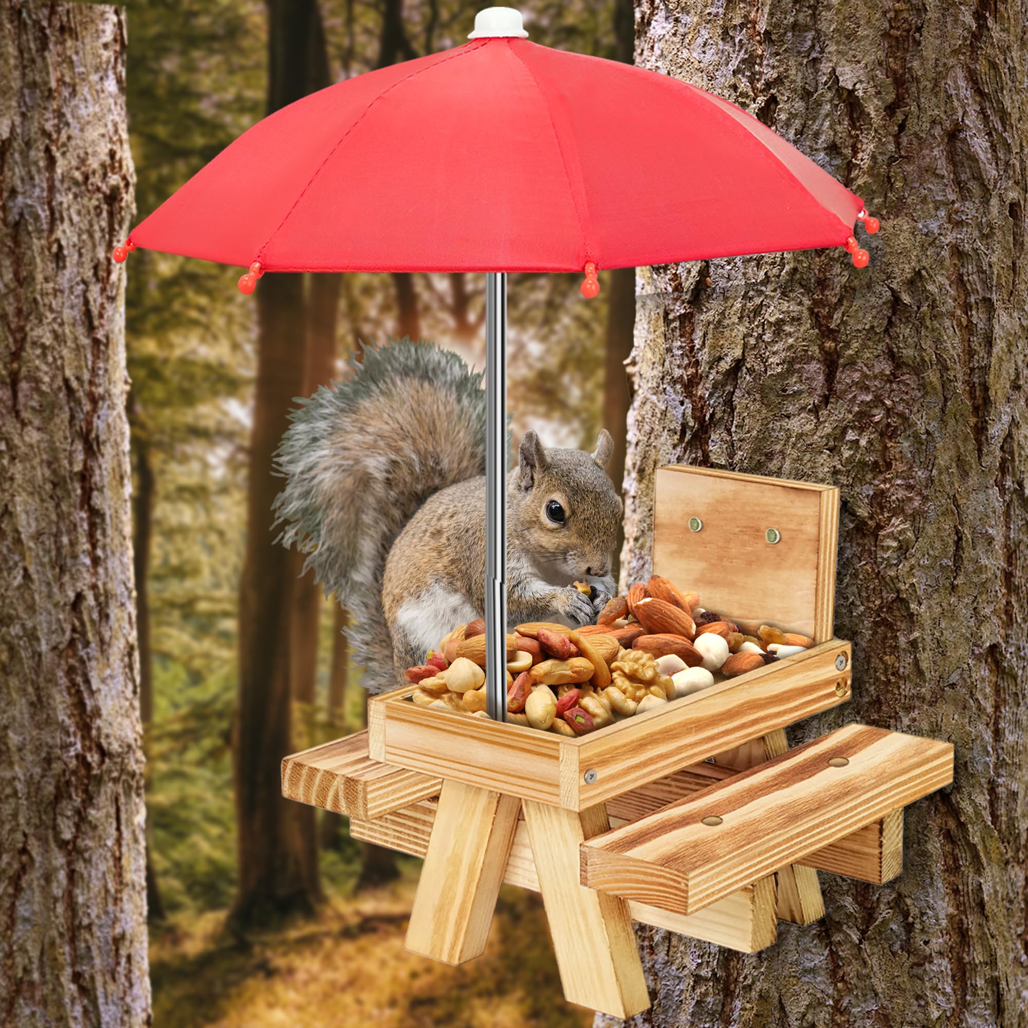 DFANG squirrel feeder includes corn cob holder for easy feeding