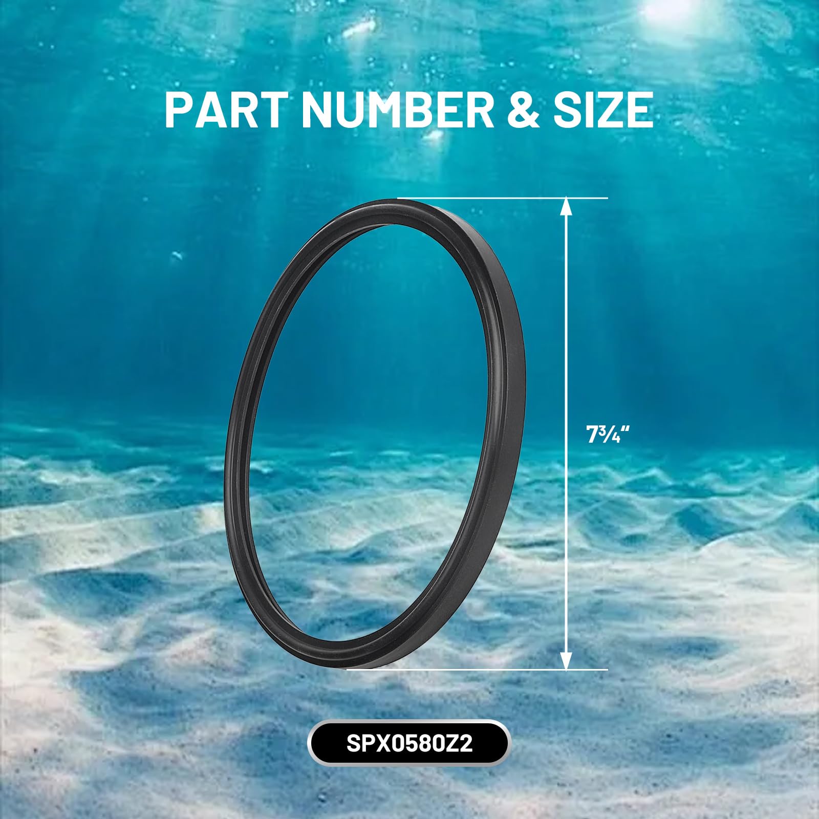 DFD gasket for Hayward AstroLite series demonstrates easy installation and durable seal