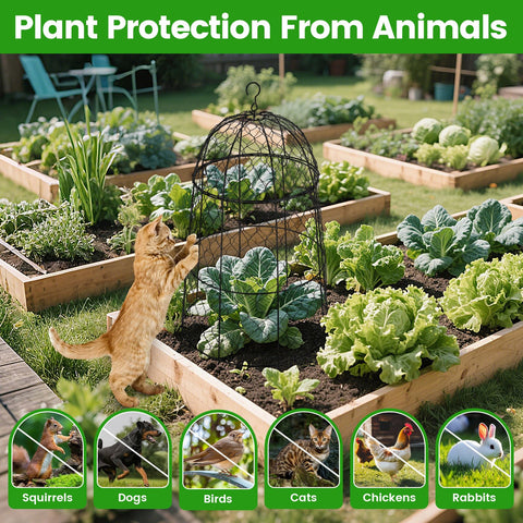 DFJFIFF rust-proof cloche mesh frame with durable coating for outdoor use.