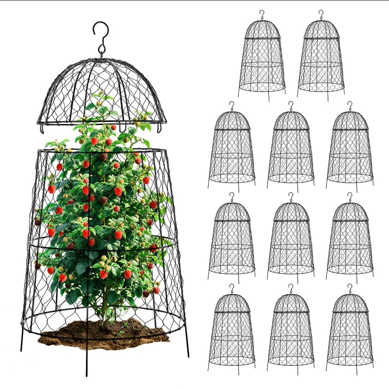 DFJFIFF garden cloche 12-pack protects seedlings from rabbits and birds.