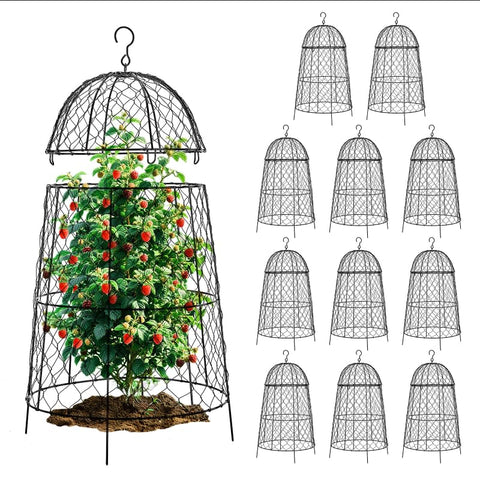 DFJFIFF garden cloche 12-pack protects seedlings from rabbits and birds.