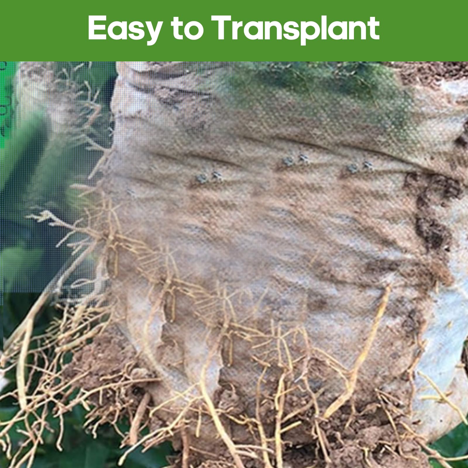 DFKPVBHB easy transplanting bag enables soil transfer with minimal disruption.