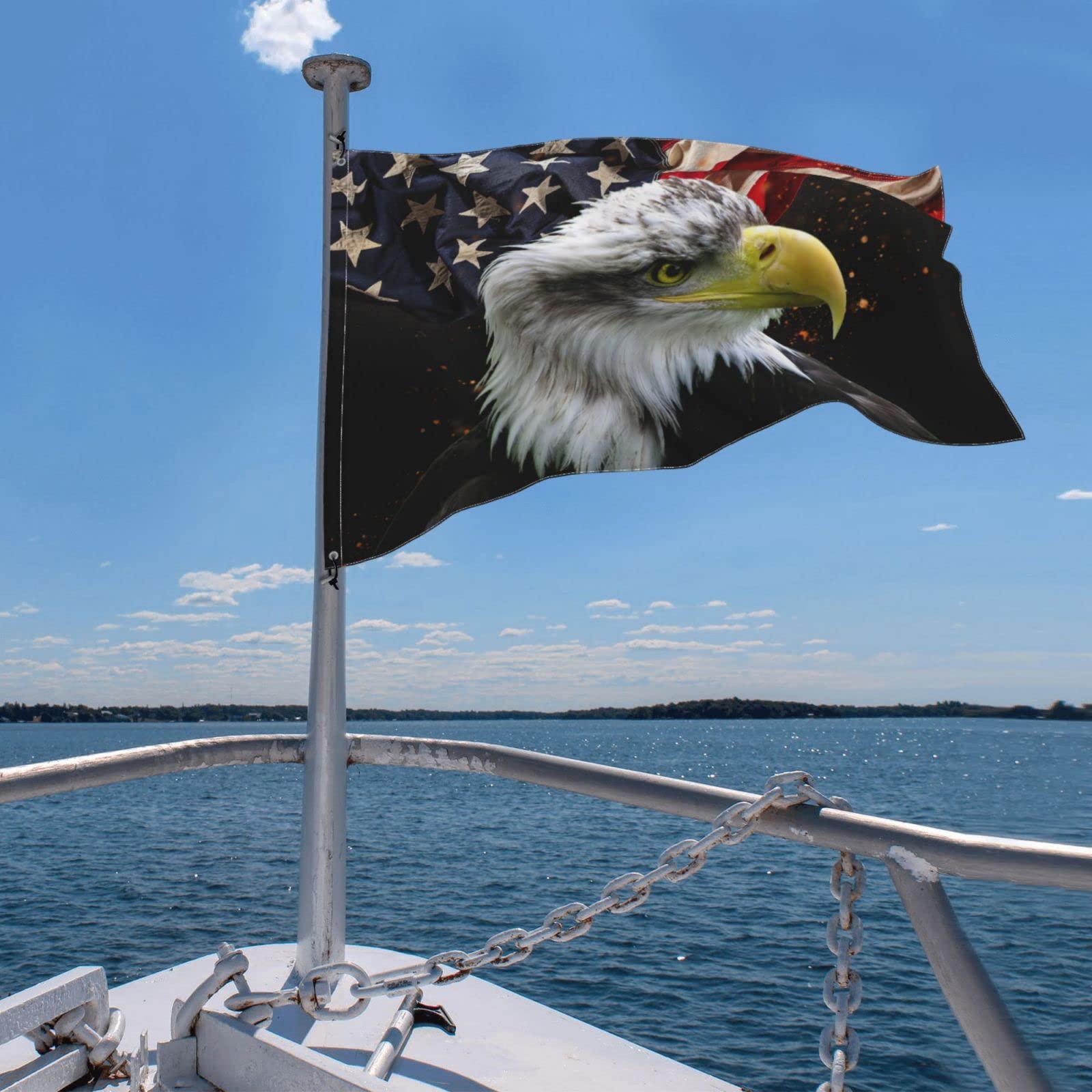 DGFhk American Eagle Flag 3x5 nine-eleven remembrance on a flagpole.
