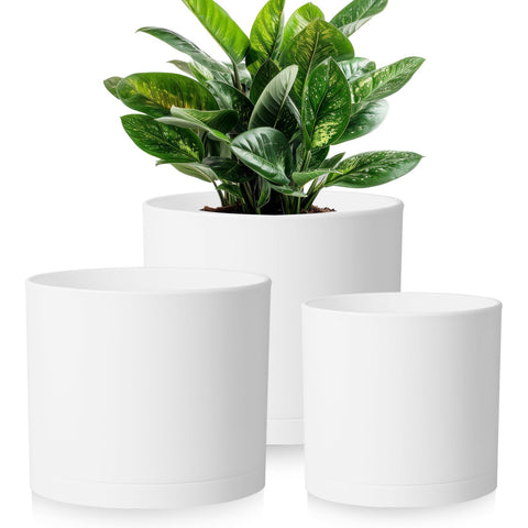 DGJDLWHX large 10-inch black pot with brown base, sturdy and easy to move.