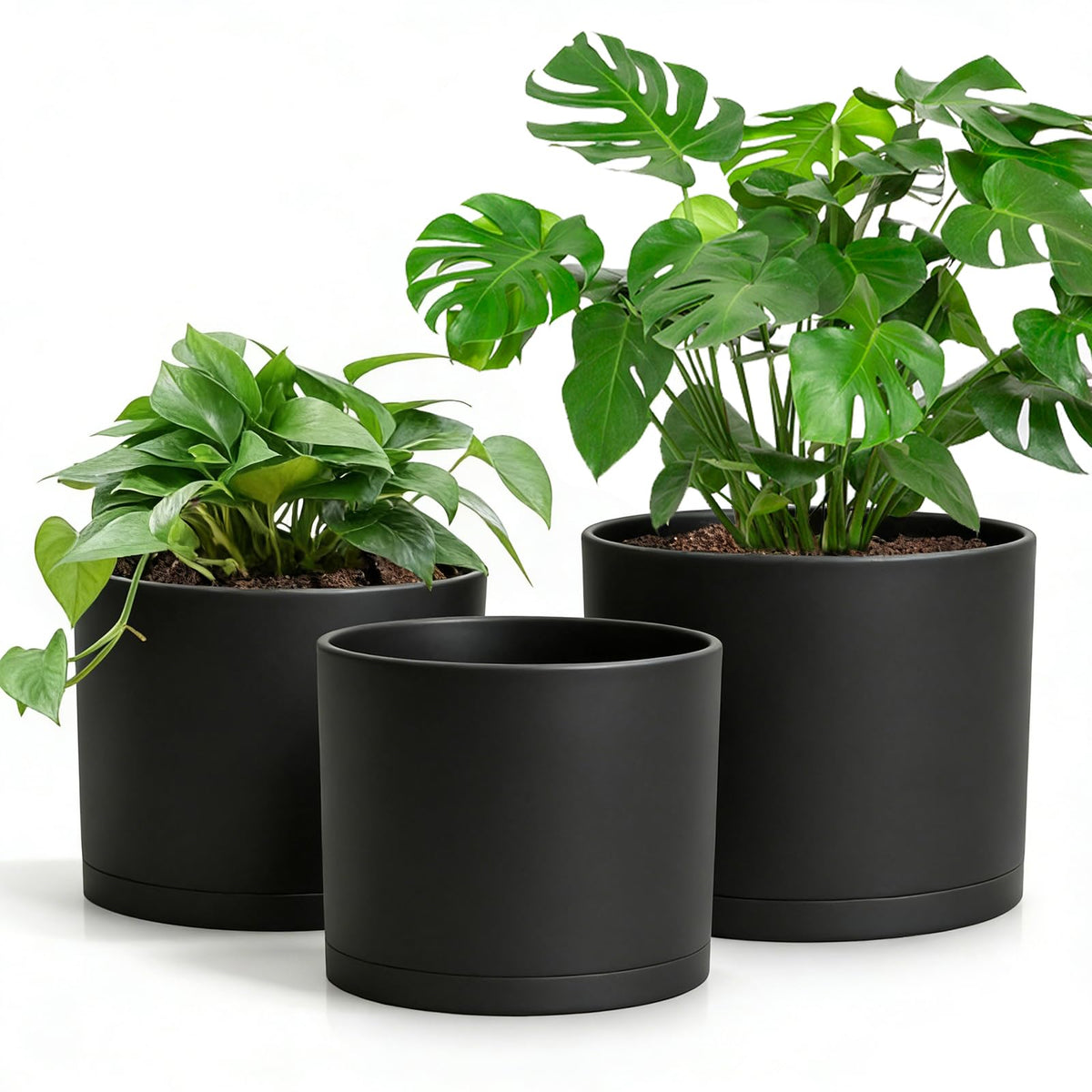 DGJDLWHX 8-inch white pot with drainage holes keeps floors dry.