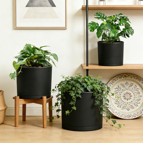 DGJDLWHX 9-inch black pot showcases modern design for tall plants.