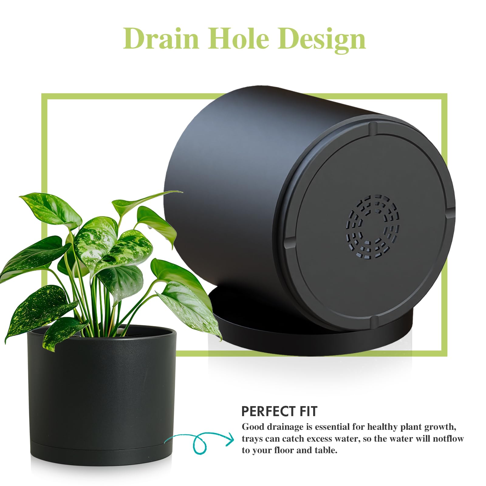 DGJDLWHX matching saucer set catches excess water to protect surfaces.