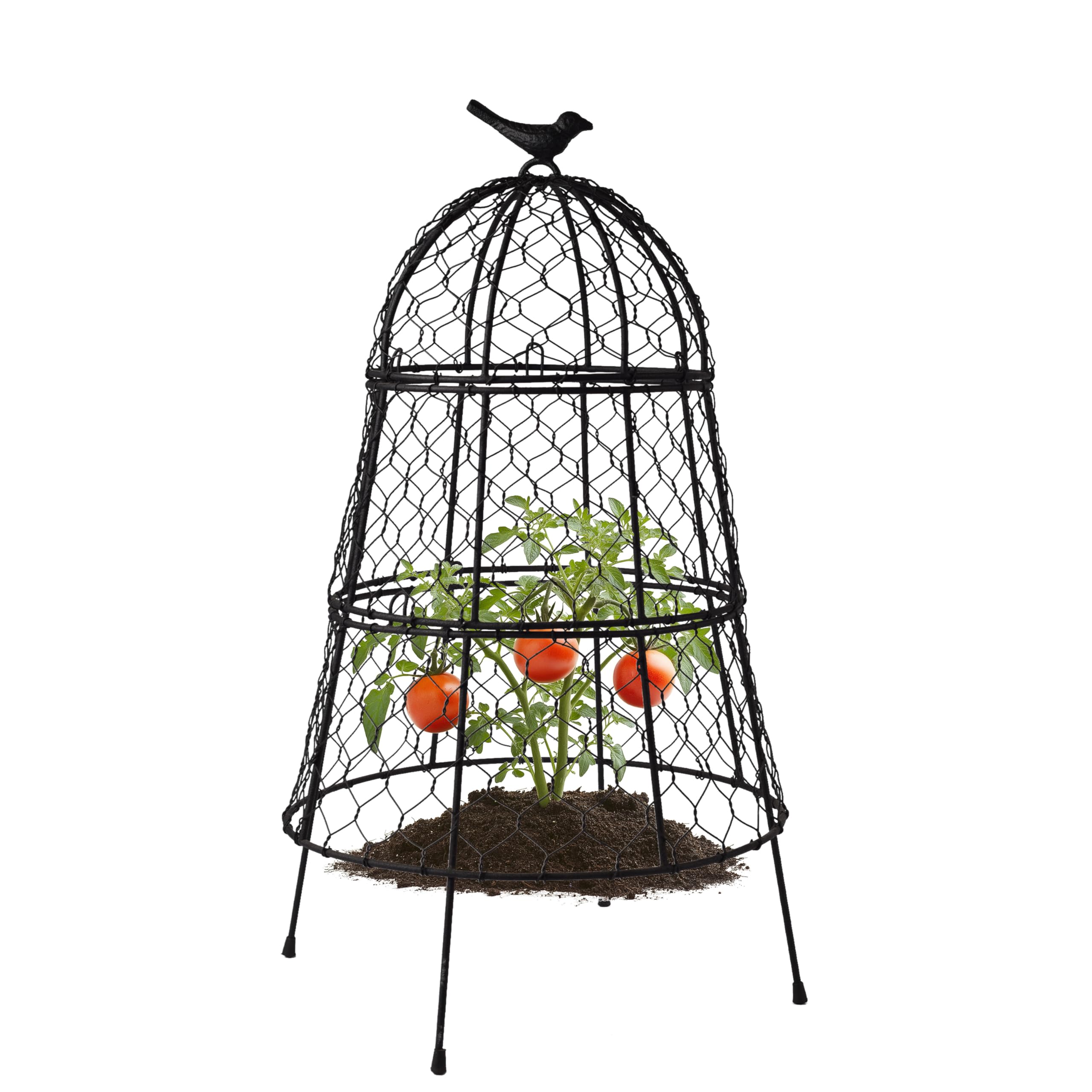 DHAMPOOH bell shaped cloche protects vegetables from pests
