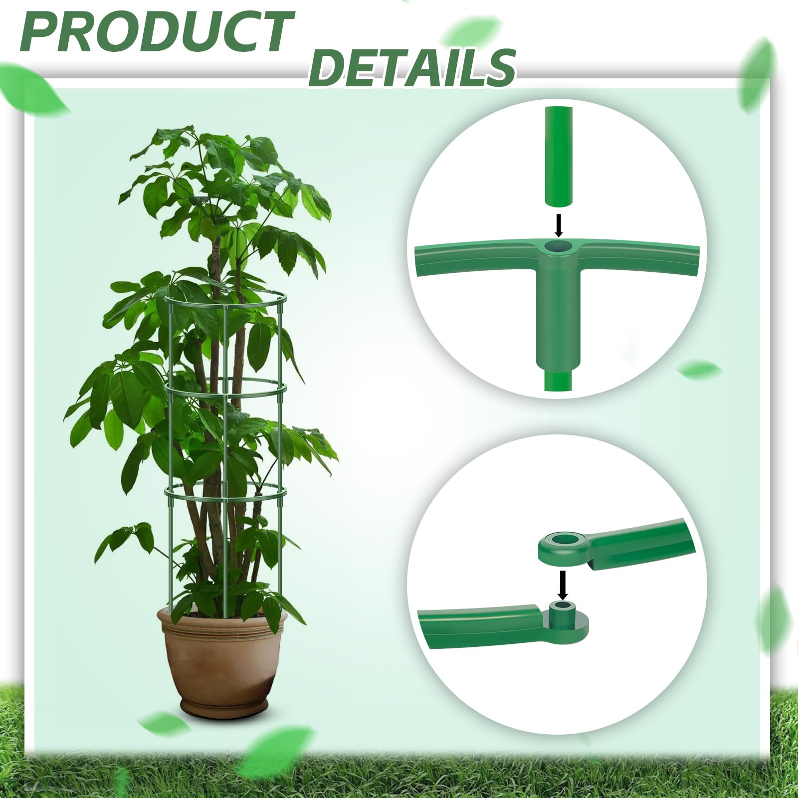 DI QIU REN plant support rings form sturdy cages for vines.
