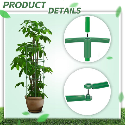 DI QIU REN plant support rings form sturdy cages for vines.