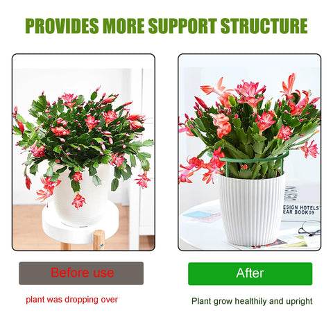 DI QIU REN garden trellis for tomato cages blends with greenery.