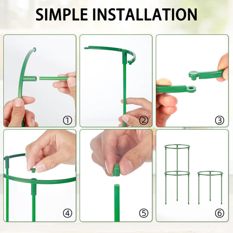 DI QIU REN monstera-support stake stabilizes climbing foliage indoors.