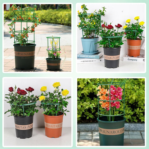 DI QIU REN outdoor-friendly green stake blends with garden pots.