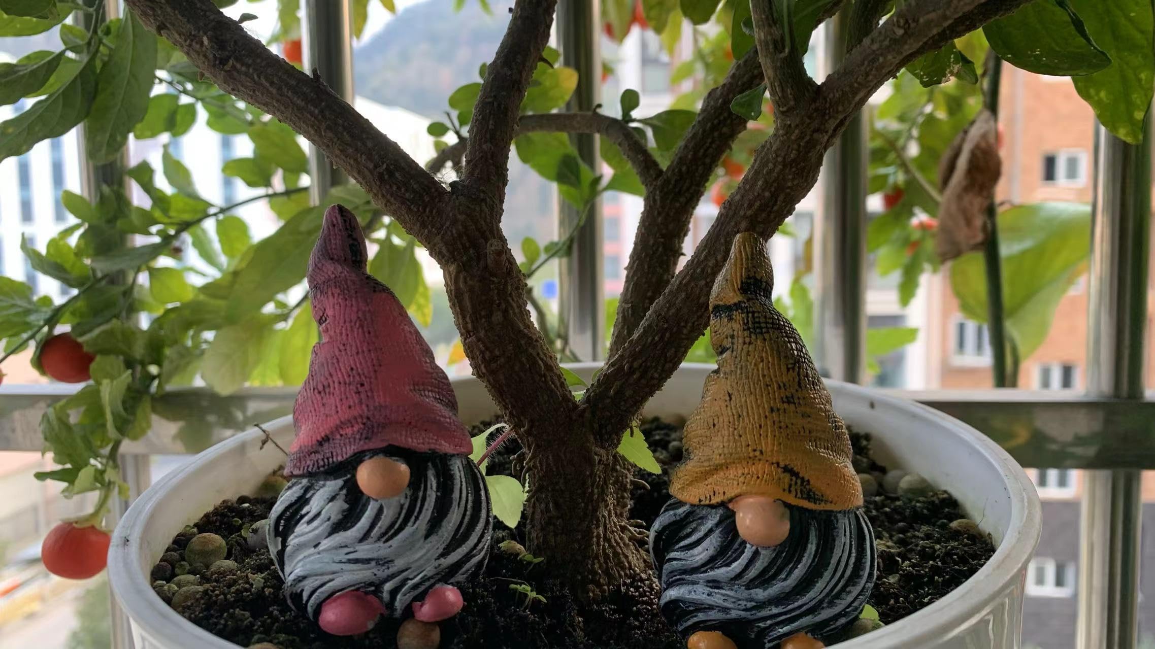 Dianreno mini gnomes table top decor for shelves and desks.