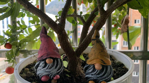 Dianreno mini gnomes table top decor for shelves and desks.