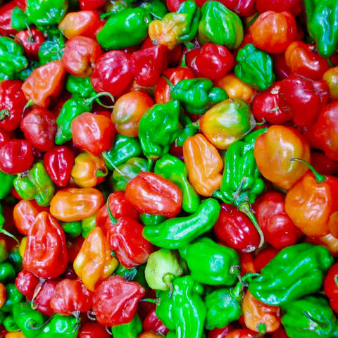 DIASPORA ASIAN SEEDS Container garden setup with sun-loving peppers from this combo