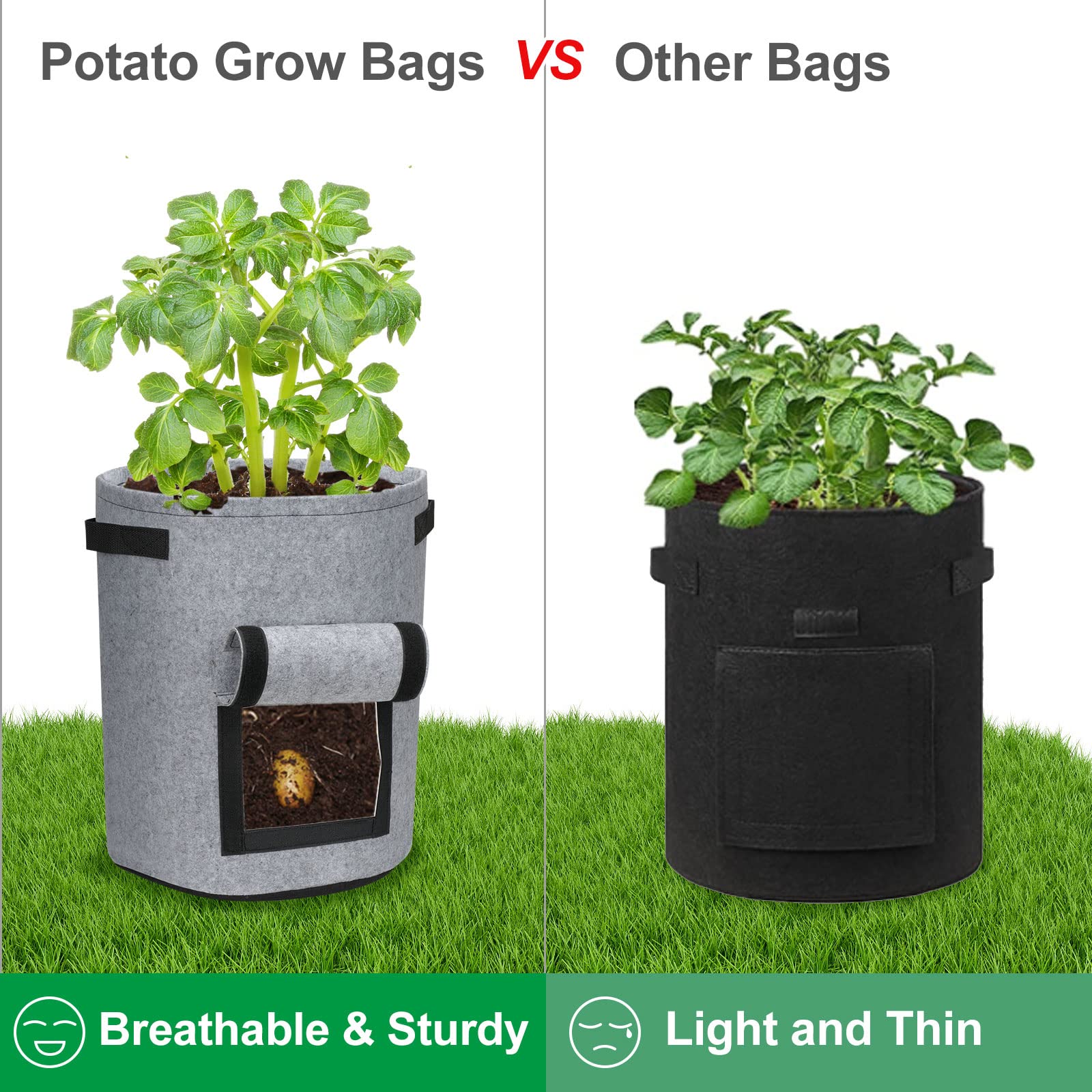 DiCandle grow bags with reinforced handles for easy moving and placement.