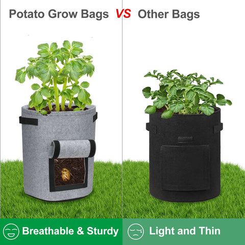 DiCandle grow bags with reinforced handles for easy moving and placement.