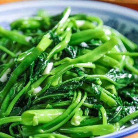Dichmag Kong Xin Cai seeds during sowing stage for even germination.