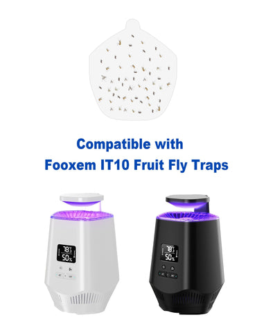 Dichroma 24-pcs refill glue boards, ready to refresh your fruit fly station.