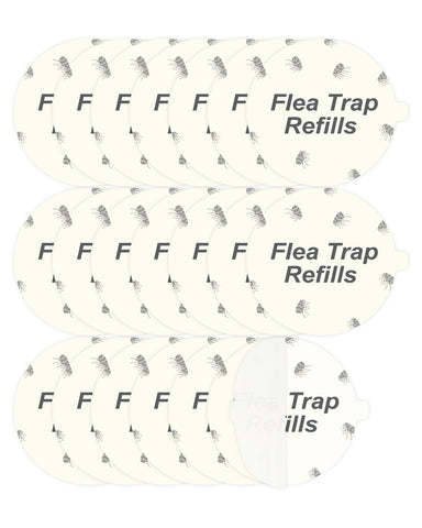 Dichroma flea trap refill disc pack on display for quick install in compatible traps