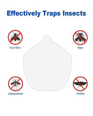 Dichroma fruit fly trap refill board keeps pests captured without mess.