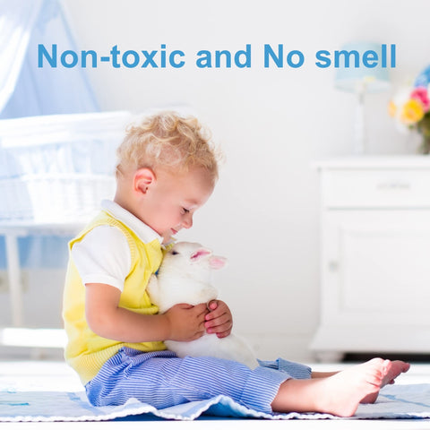 Dichroma indoor environment image emphasizes family-friendly, odorless monitoring