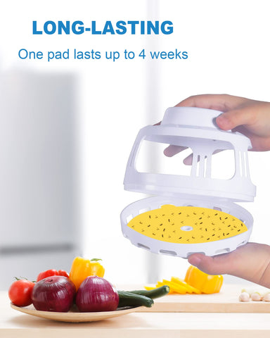 Dichroma long-lasting refill disc lasts up to four weeks indoors.