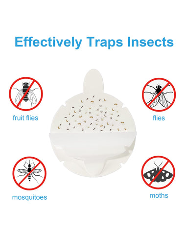 Dichroma long-lasting glue board lasts up to four weeks for low-effort pest control.