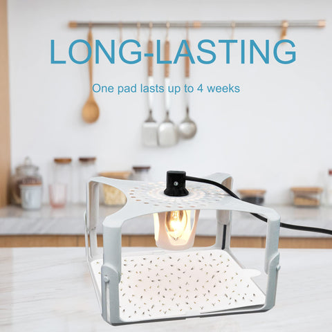 Dichroma long-lasting refill discs provide up to four weeks of capture.